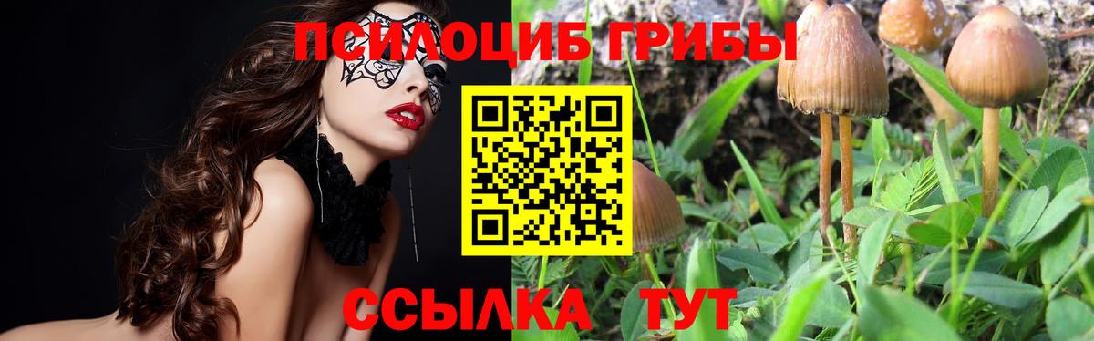 Алапаевск  Псилоцибиновые грибы прущие грибы  Вход с VPN 